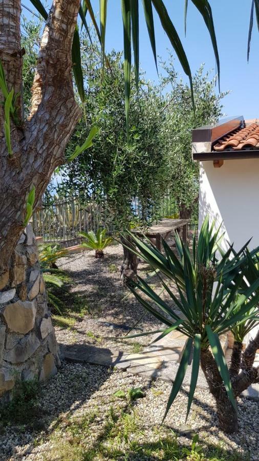 Piccola Casa Con Giardino Villa Sanremo Eksteriør bilde
